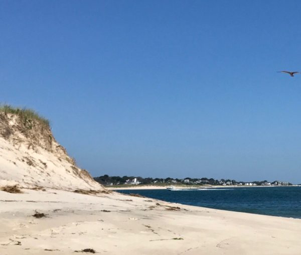 A beautiful sandy beach at the Outer Cape