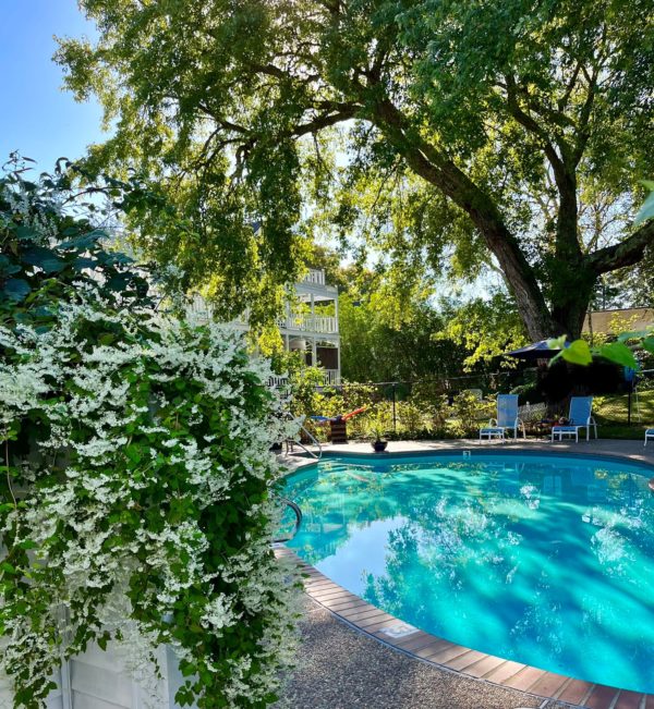 A private garden with sparkling pool under the shade of an Elm tree.